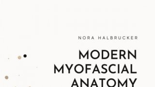 E-Book Download Modern Myofascial Anatomy